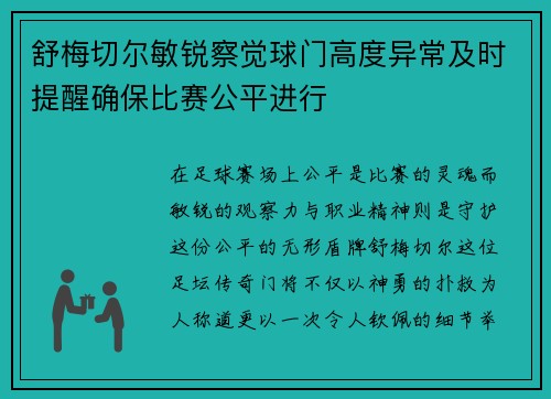 舒梅切尔敏锐察觉球门高度异常及时提醒确保比赛公平进行